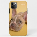 ICASEZオリジナルIPHONE11 PRO MAX 犬の芸術は黄色を照らしますケース