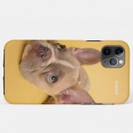 ICASEZオリジナルIPHONE11 PRO MAX 犬の芸術は黄色を照らしますケース