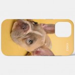 ICASEZオリジナルIPHONE12 PRO MAX 犬の芸術は黄色を照らしますケース