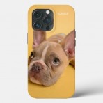 ICASEZオリジナルIPHONE13 PRO 犬の芸術は黄色を照らしますケース