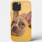 ICASEZオリジナルIPHONE13 PRO MAX犬の芸術は黄色を照らしますケース